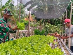 Langkah Hijau di Desa Noreh: Babinsa dan Warga Bersatu Mengolah Lahan, Menumbuhkan Harapan Pangan