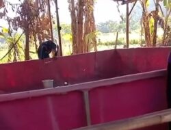 Diduga Arena Judi Sabung Ayam di Sidodadi Kembali Buka Kamis Ini, Warga Tantang APH Buktikan Keseriusan Berantas Perjudian