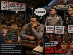 Sabung Ayam Andongsari Diduga Beroperasi Lagi, Kapolsek Ambulu Bungkam; Kapolda Jatim dan Kapolri Diminta Turun Tangan