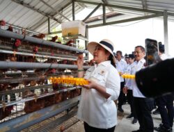 Titiek Soeharto Apresiasi Nusakambangan sebagai Kawasan Pembinaan Produktif dan Pendukung Ketahanan Pangan