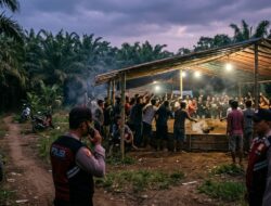 Diduga Arena Sabung Ayam di Dusun Bedengan Ambulu Beroperasi, Muncul Dugaan Adanya Backing Oknum Aparat