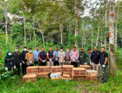 977 Ekor Burung Ilegal Digagalkan di Pelabuhan Bakauheni, Polisi Bongkar Dugaan Jaringan Perdagangan Satwa Liar Lampung Selatan