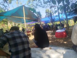 Diduga Jadi Arena Judi Sabung Ayam, Aktivitas di Gujuran T Sucopangepok Jember Disorot Warga