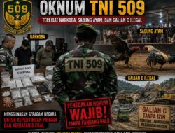 Dugaan Oknum Insial J Dari 509 Kostrad Jember Bekingin Sabung Ayam,Galian C dan Peredaran Obat Terlarang