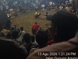 Arena Tajen Diduga Marak di Gianyar, Jarak Hanya 1,2 Km dari Polsek dan 1,5 Km dari Polres, Polda Bali Didesak Bertindak