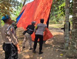 Sabung Ayam di Karangduren Jember Disorot, Saat Dicek Petugas Tak Temukan Aktivitas — Isu Keterlibatan Oknum AF Disebut Tidak Benar
