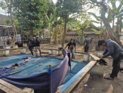 Respons Cepat Aduan Warga, Polres Nganjuk Bongkar Dua Lokasi Sabung Ayam