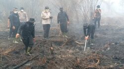 Karhutla Hanguskan 5 Hektare Lahan di Mamasa, Polisi dan Damkar Berjibaku Padamkan Api
