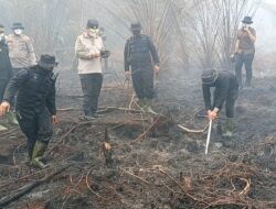 Karhutla Hanguskan 5 Hektare Lahan di Mamasa, Polisi dan Damkar Berjibaku Padamkan Api