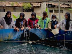 Lapas Kalianda Dorong WBP Mandiri Lewat Budidaya Perikanan