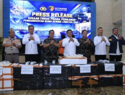 Polri Ungkap Jaringan Penyelundupan Baby Lobster Lintas Negara, Dua Pelaku Ditangkap