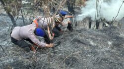 Personel BKO Polda Jatim Gerak Cepat Padamkan Titik Api, Cegah Karhutla TNBTS Meluas